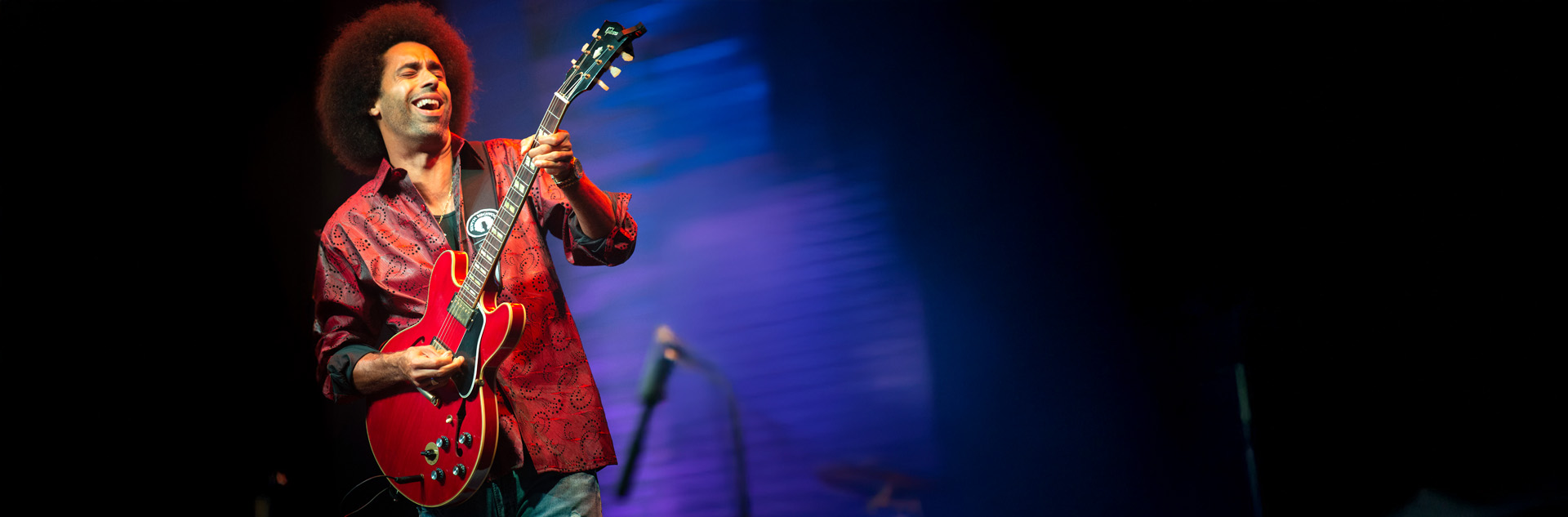 Selwyn Birchwood