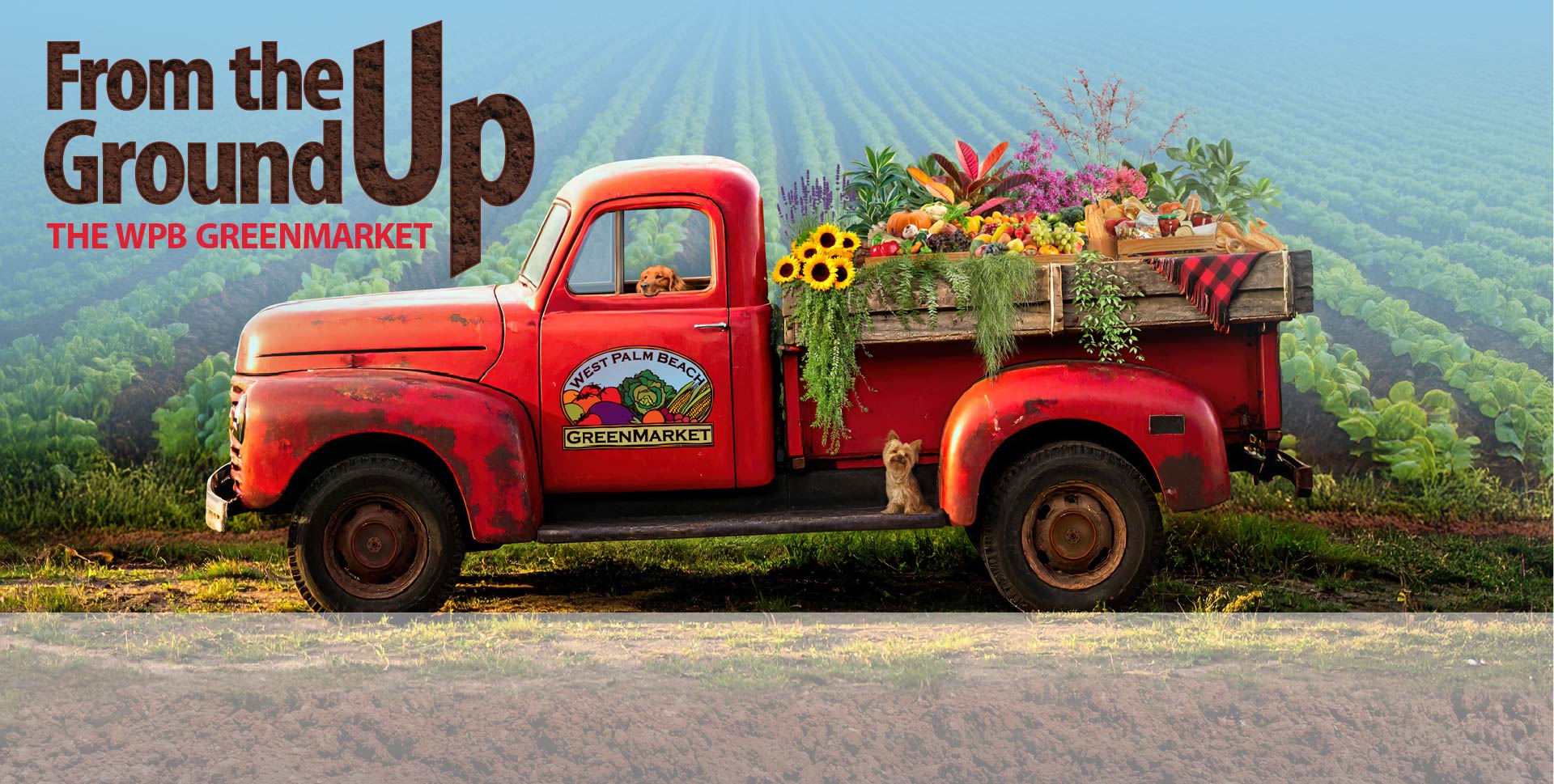 From the Ground Up - The West Palm Beach GreenMarket