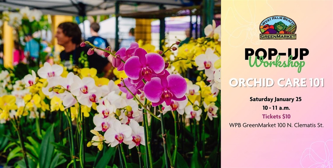 GreenMarket Pop Up Workshop_Orchid Care 101_1920x969