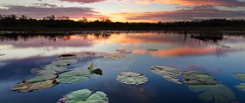 grassy-waters-banner-5.jpg