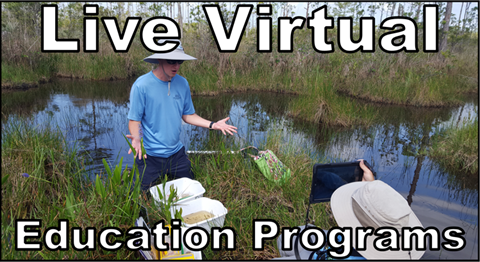 Live-virtual-education-programs.png