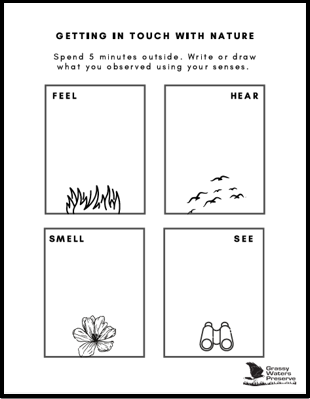 Image_Get-in-touch-with-nature-worksheet.png