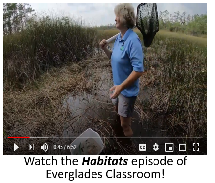 Image_Habitats-Video.png
