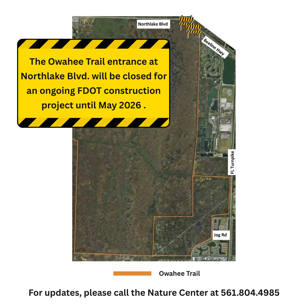 Northlake Blvd Closure SM REV.png