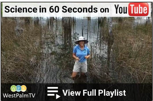 science60sec.png