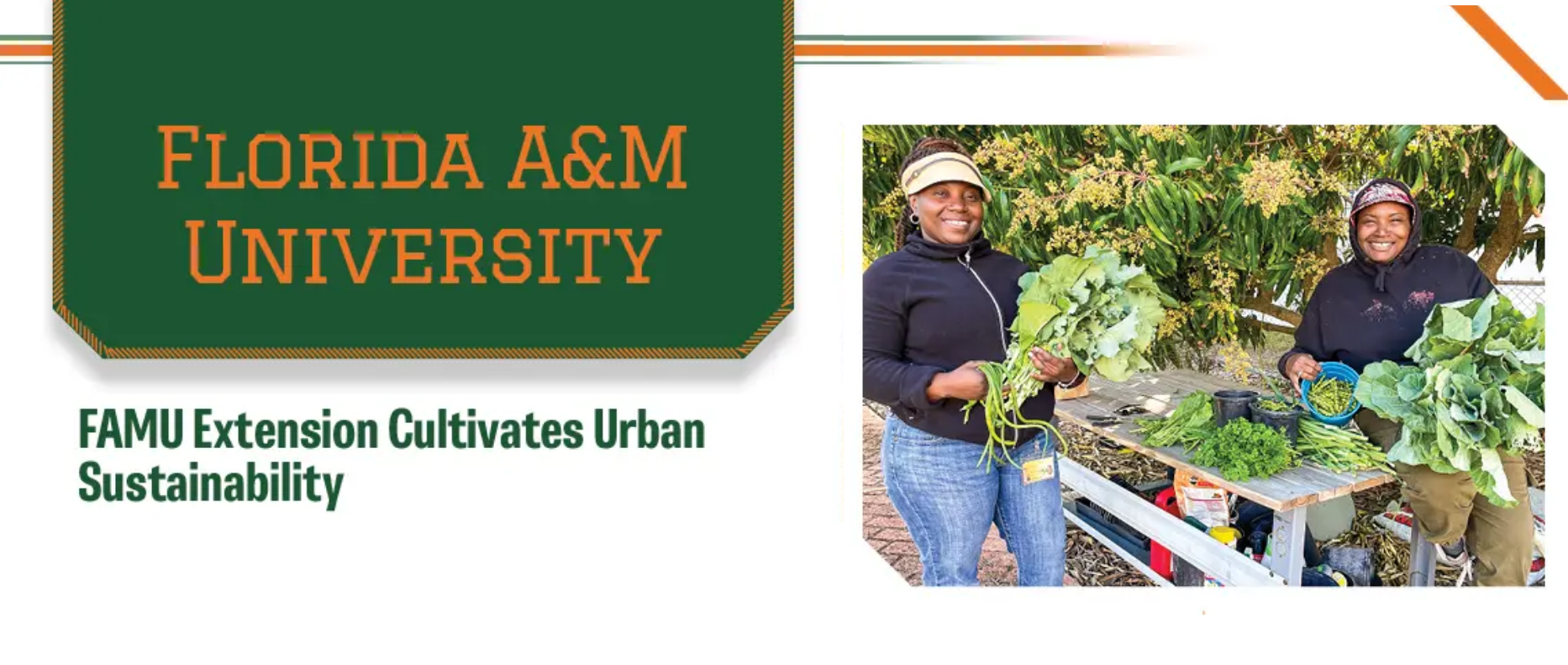 Image from the 1890 Land Grant Universities Impact Report of the FAMU Extension Agents displaying freshly harvested produce