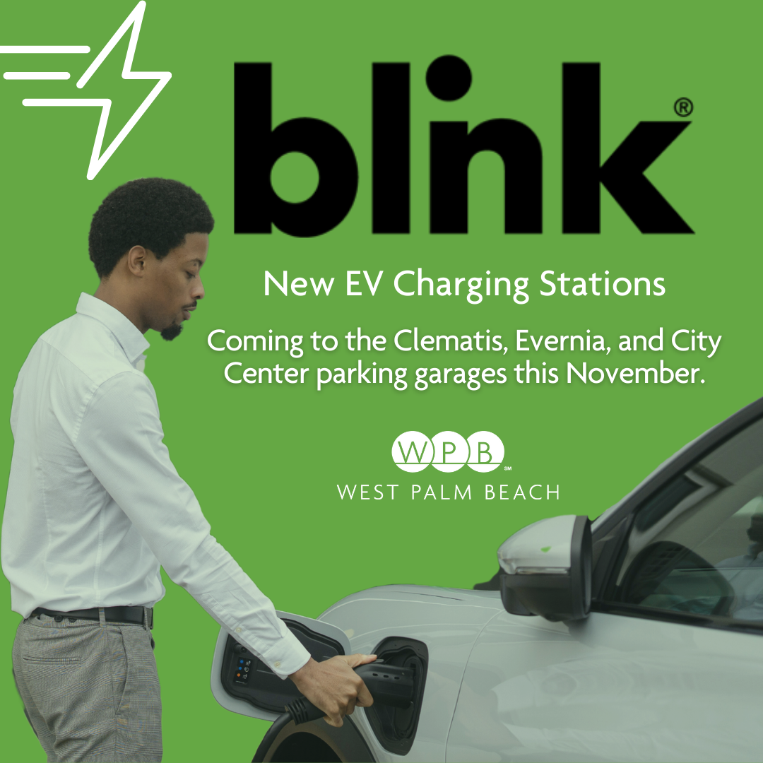 Blink-Promo-1.png
