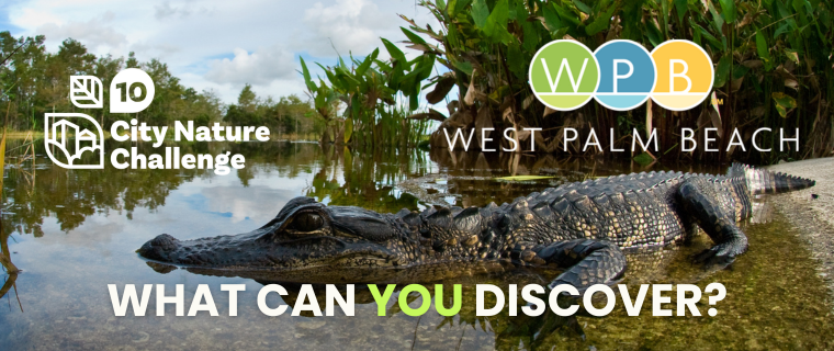 City Nature Challenge 10 year anniversary - What will you discover?