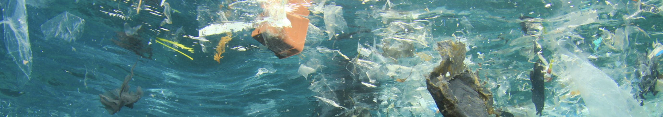 plasticbanner.png