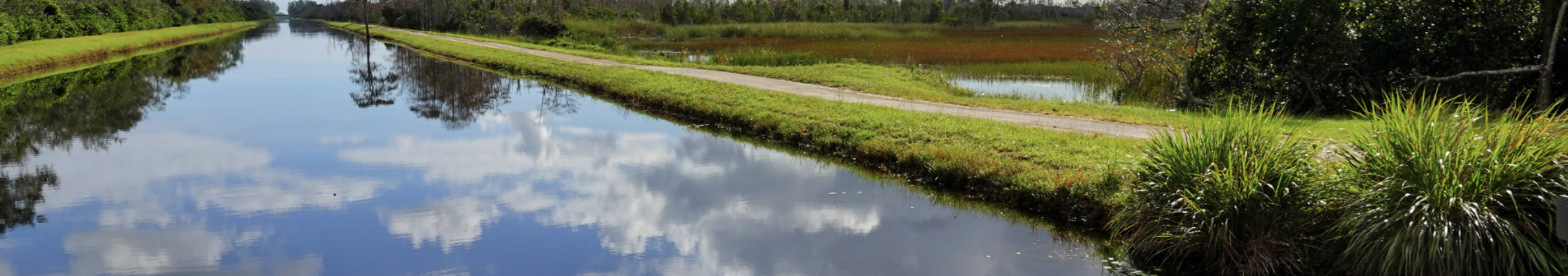 waterconservationbanner.png