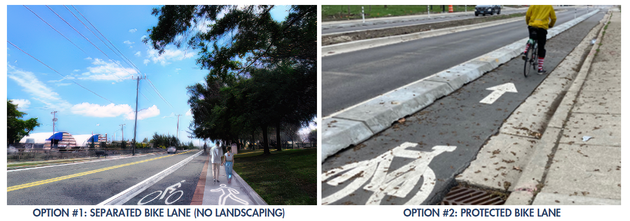 Option 1 & 2 (separated bike lane with no landscaping and protected bike lane)