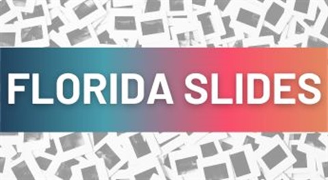 Florida Slides