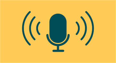 Sound Recording icon