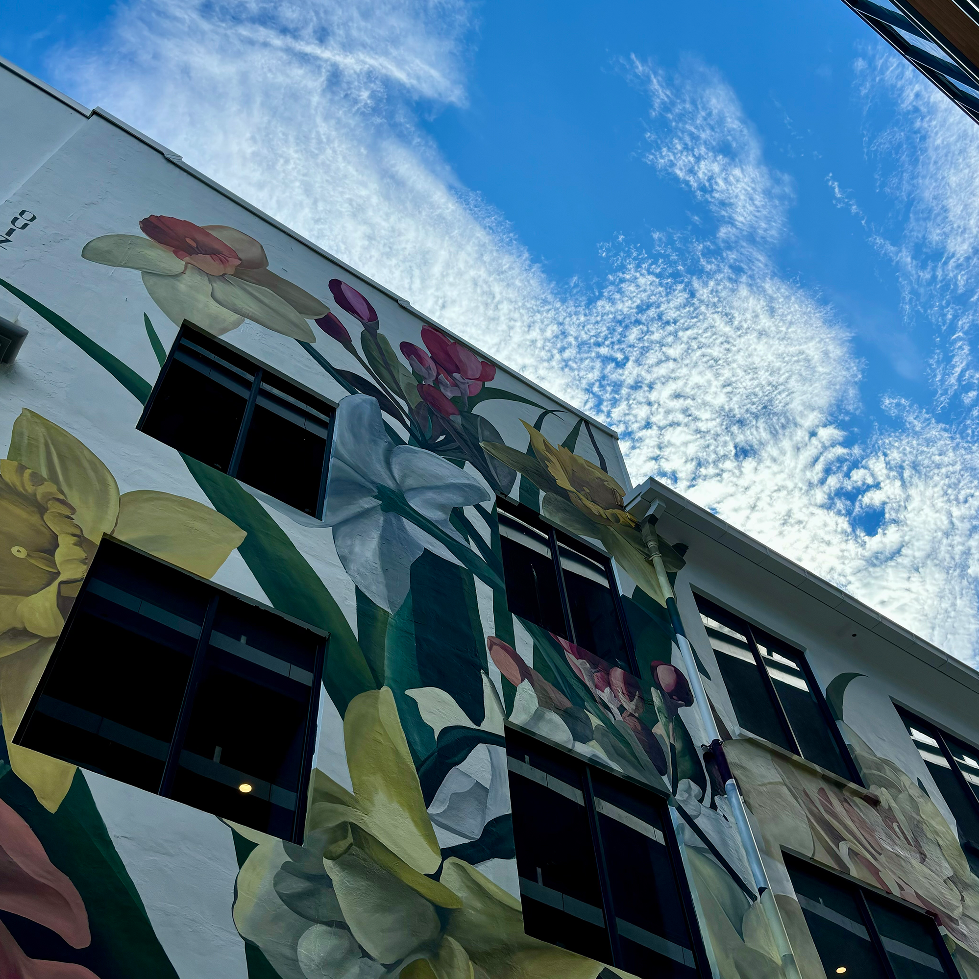 Floral mural, Narcissus Way by Ouzi
