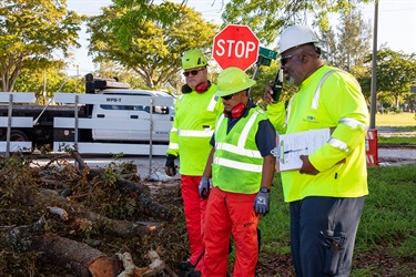 Analyzing the debris for safety hazards prior to starting the cleanup effort