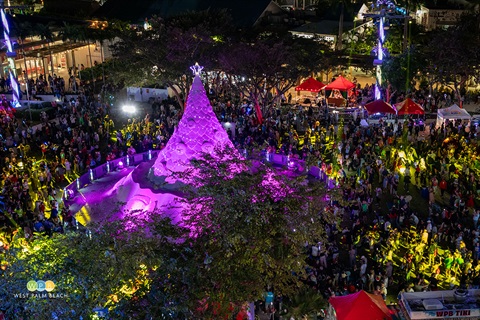 Sandi Tree in purple