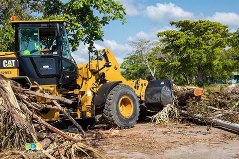 SM-Clearing-debris.jpg